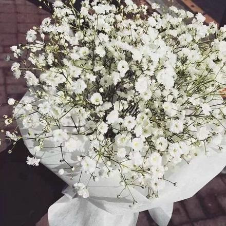 就算等待只换来对不起